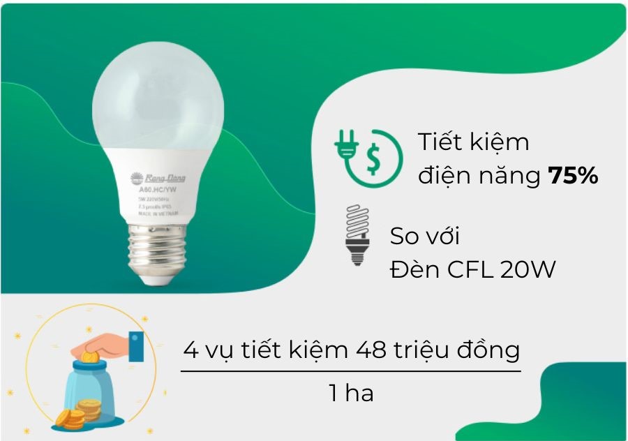 Đèn LED hoa cúc Rạng Đông A60.HC/YW tiết kiệm năng lượng