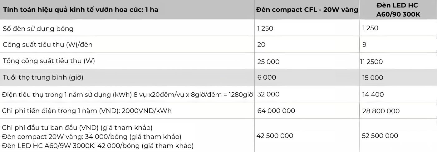 Tính toán hiệu quả kinh tế vườn hoa cúc