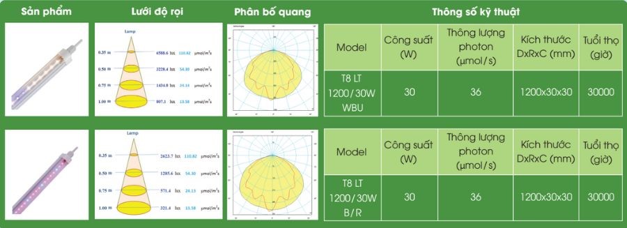 Tổng đèn led chuyên dụng trồng cây Rạng Đông T8