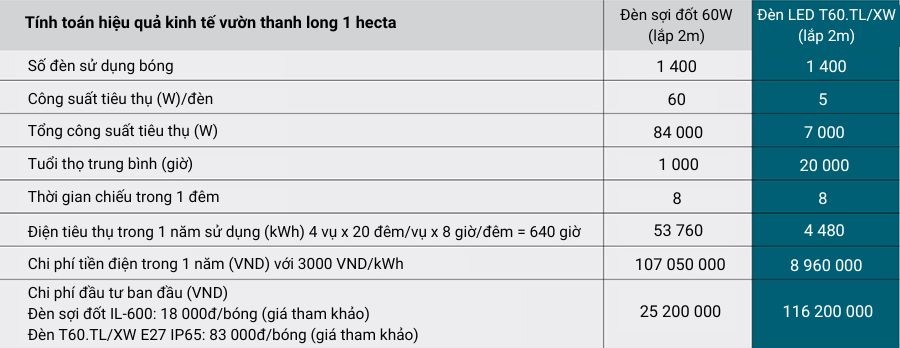So sánh hiệu quá kinh tế giữ Đèn sợi đốt 60W và Đèn led T60.TL/XW Rạng Đông