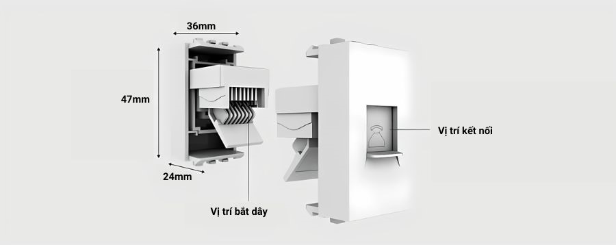 Cấu tạo của hạt ổ cắm điện thoại âm tường Rạng Đông