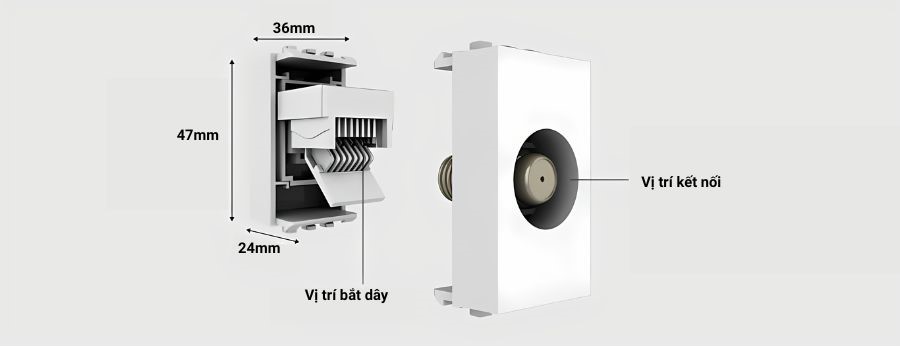 Cấu tạo của hạt ổ cắm tivi âm tường Rạng Đông HOC.ANTEN01
