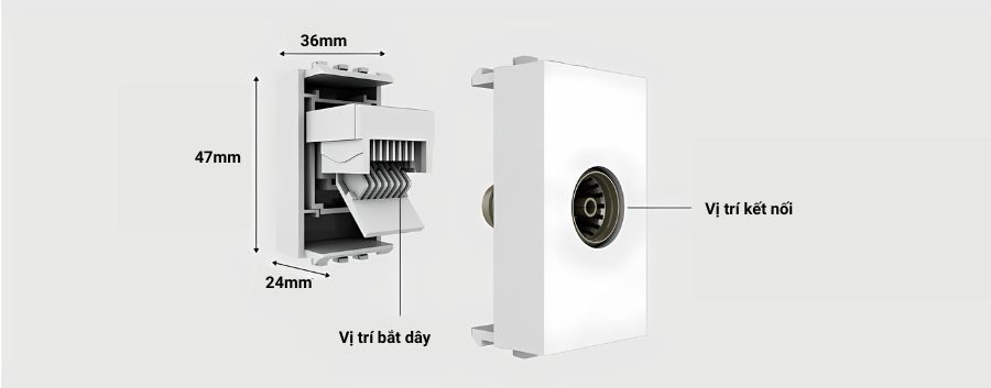Cấu tạo của hạt ổ cắm tivi âm tường Rạng Đông HOC.ANTEN02