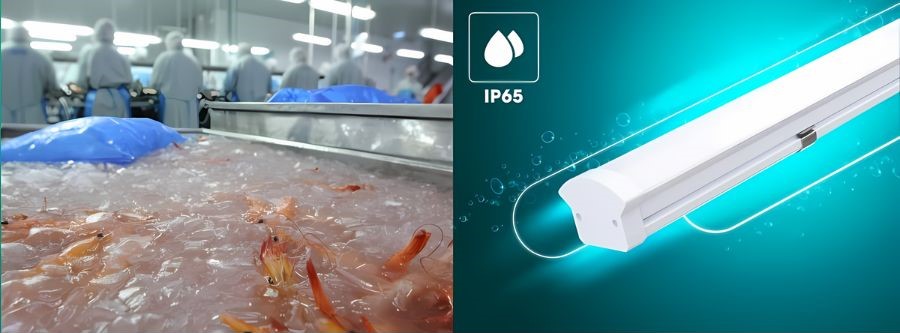 Đèn LED chế biến thủy sản Rạng Đông M28.F 1200/40W