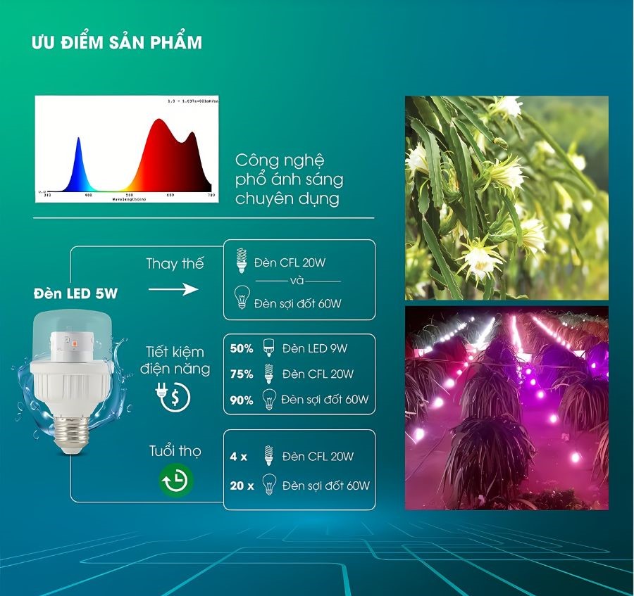 Ưu điểm nổi bật của đèn LED thanh long 5W Rạng Đông T60.TL/XW
