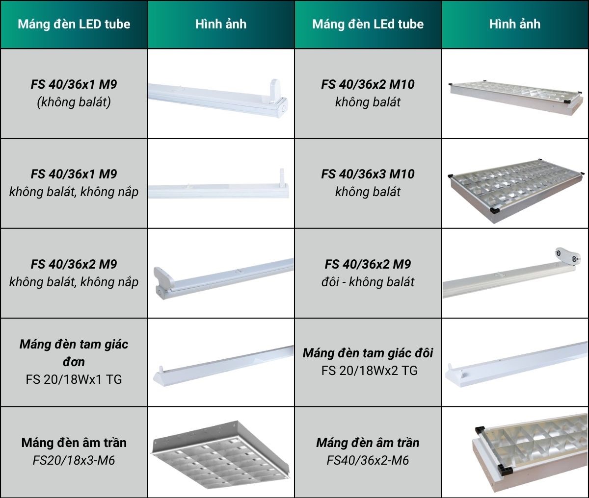 Tổng hợp máng đèn LED tube Rạng Đông