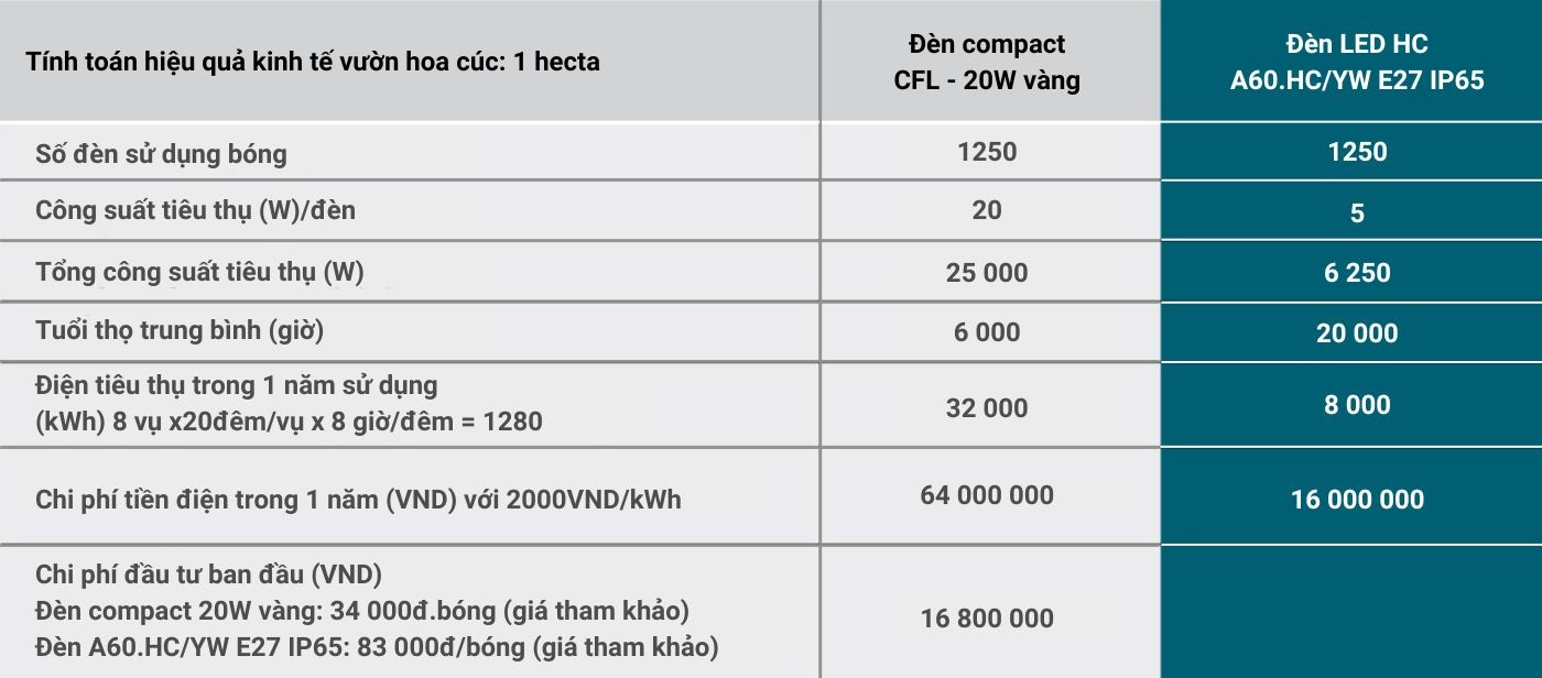 Tính toán hiệu quả kinh tế vườn hoa cúc