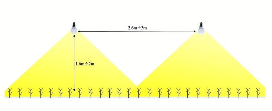 Mật độ bố trí đèn LED hoa cúc Rạng Đông LED HC A60/9W
