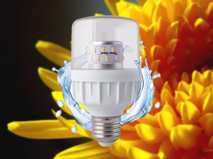 Đèn LED hoa cúc Rạng Đông TR60.HC/9W