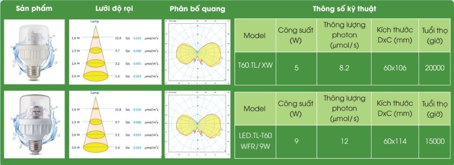 Tổng hợp đèn led chong thanh long Rạng Đông