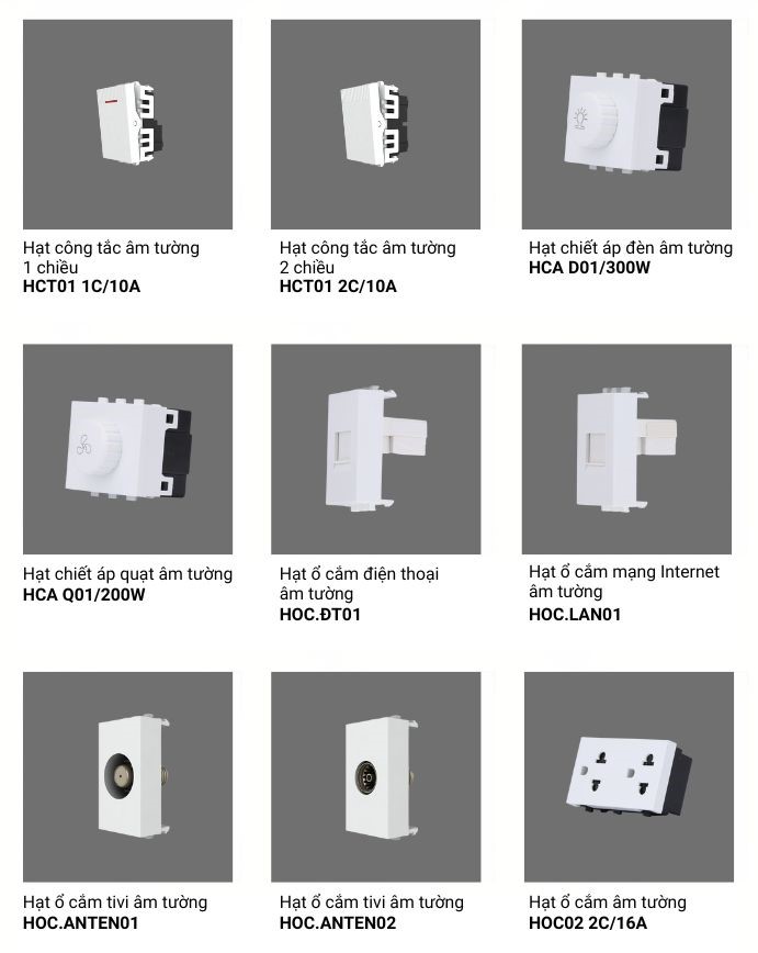 Tổng hợp module nhân công tắc âm tường Rạng Đông