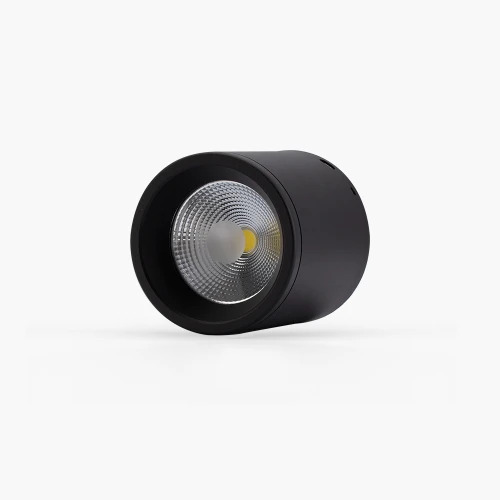 Đèn LED ốp trần 12W Rạng Đông NT01 110/12W