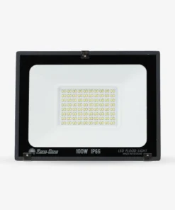 Đèn LED chiếu pha Rạng Đông  CP10 100W 6500K SS