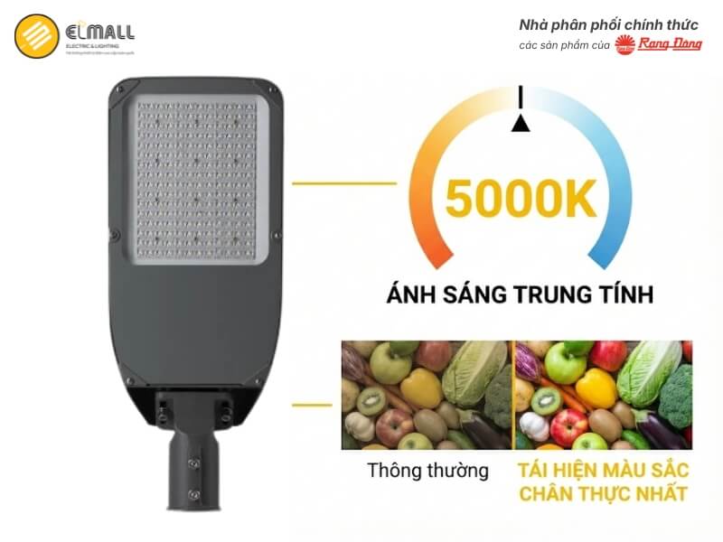 Nhiệt độ màu 5000K CSD12 tái hiện màu sắc vật thể chân thực ban 