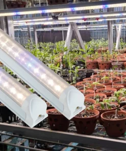 Đèn LED nuôi cấy mô Rạng Đông NCM 1200/25W WBU