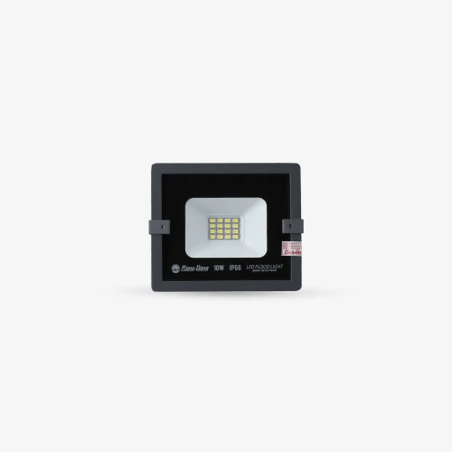 Đèn pha LED 10W CP10 6500K SS Rạng Đông