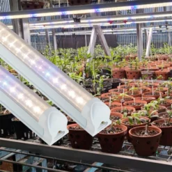 led ncm 1200 25w wbu web