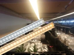 led ncm02 1200 10w 1