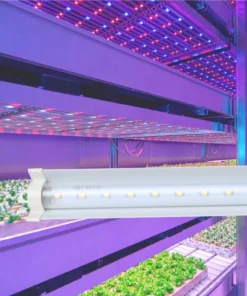 Đèn LED trồng rau Rạng Đông LED TRR 25W 120/WR