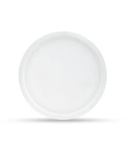 Đèn LED ốp trần tròn Rạng Đông LN09 170/15W 6500K