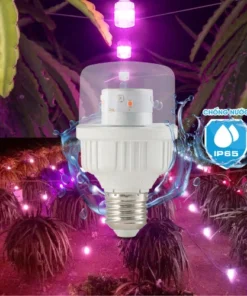 Đèn LED thanh long 5W Rạng Đông T60.TL/XW