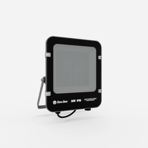 cp12 30w 2 Đèn LED pha 30W Rạng Đông CP12 30W