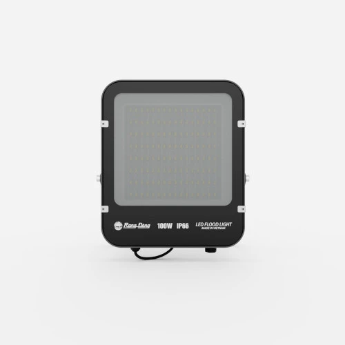 Đèn pha LED 100W CP12 Rạng Đông mặt trước 2