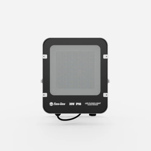 Đèn pha LED 30W CP06 Rạng Đông mặt trước 3