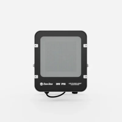 Đèn pha LED 30W CP06 Rạng Đông mặt trước 4