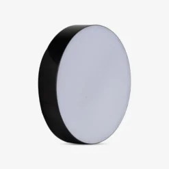 Đèn LED ốp trần đổi màu LN29N 220/18W (B)