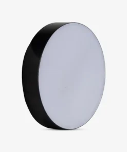Đèn LED ốp trần đổi màu LN29N 220/18W (B)