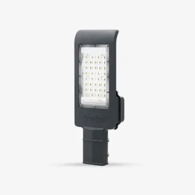 Đèn đường LED Rạng Đông CSD09 30W.PLUS