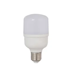 Đèn LED bulb trụ 12W TR70N2
