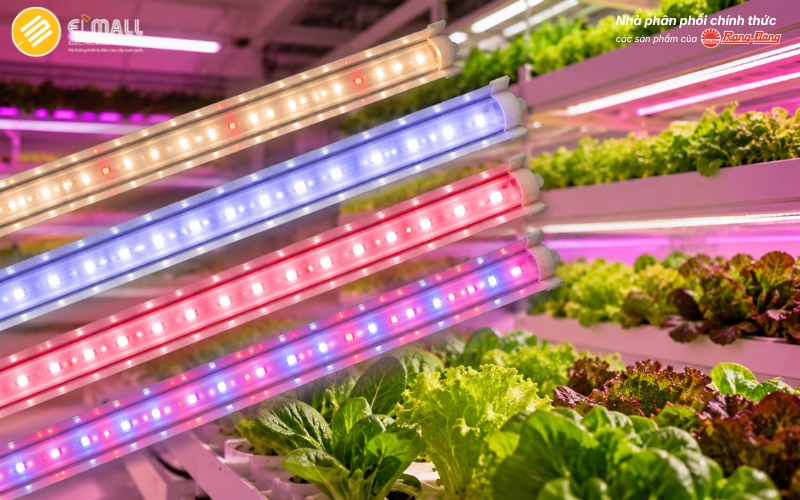 Đèn LED nông nghiệp