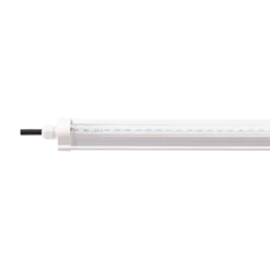 Đèn LED trồng cây Rạng Đông T8 lt 1200 30W b r IP65