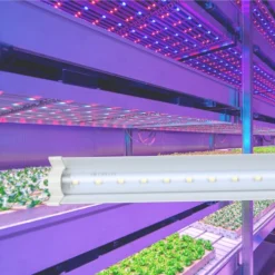 Đèn LED trong rau Rạng Đông LED trr 25W 120 wr