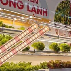 Đèn LED trong rau Rạng Đông LED trr 25W 120 wr mặt trước 1