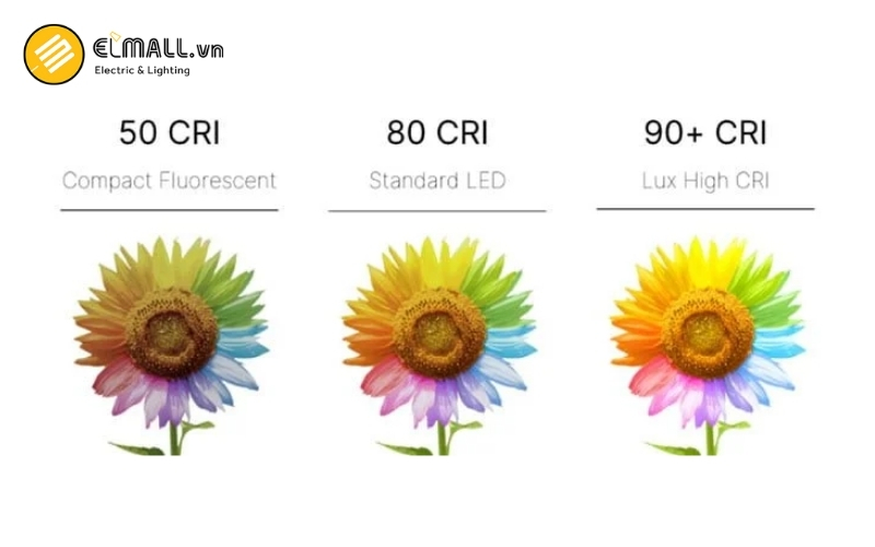 chỉ số hoàn màu của đèn