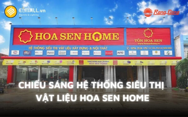 dự án chiếu sáng showroom hoa sen home