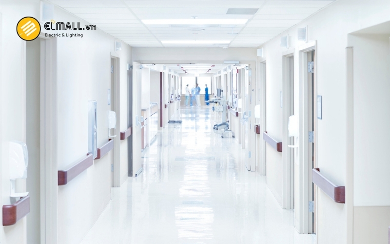 ánh sáng 6500k trắng xanh