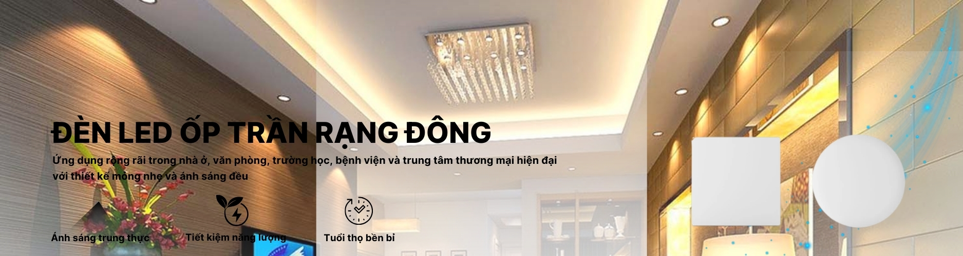 Đèn LED Ốp trần Banner