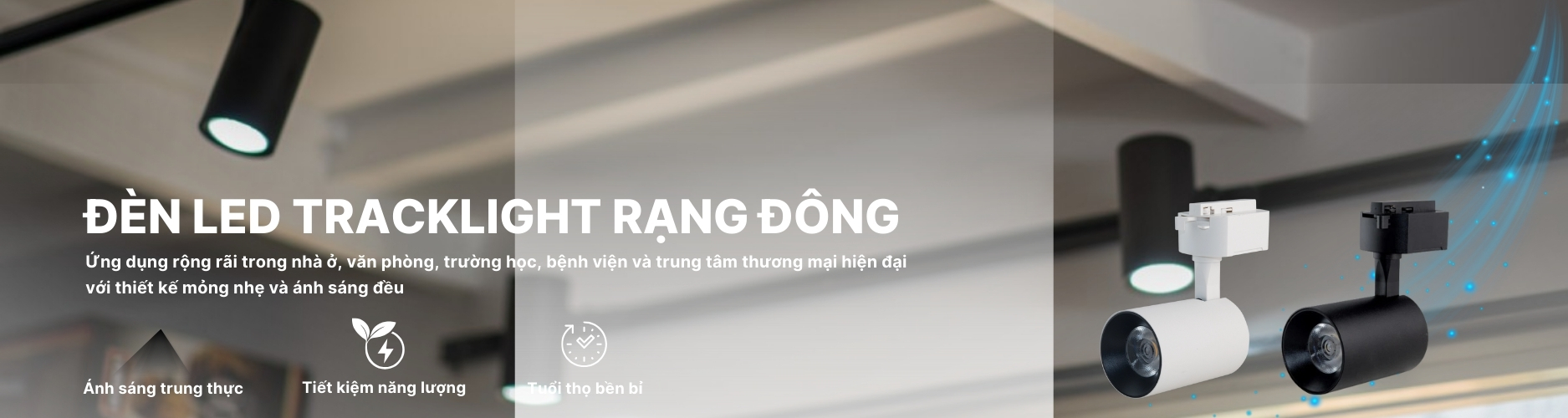 Đèn LED Tracklight Rạng Đông Banner