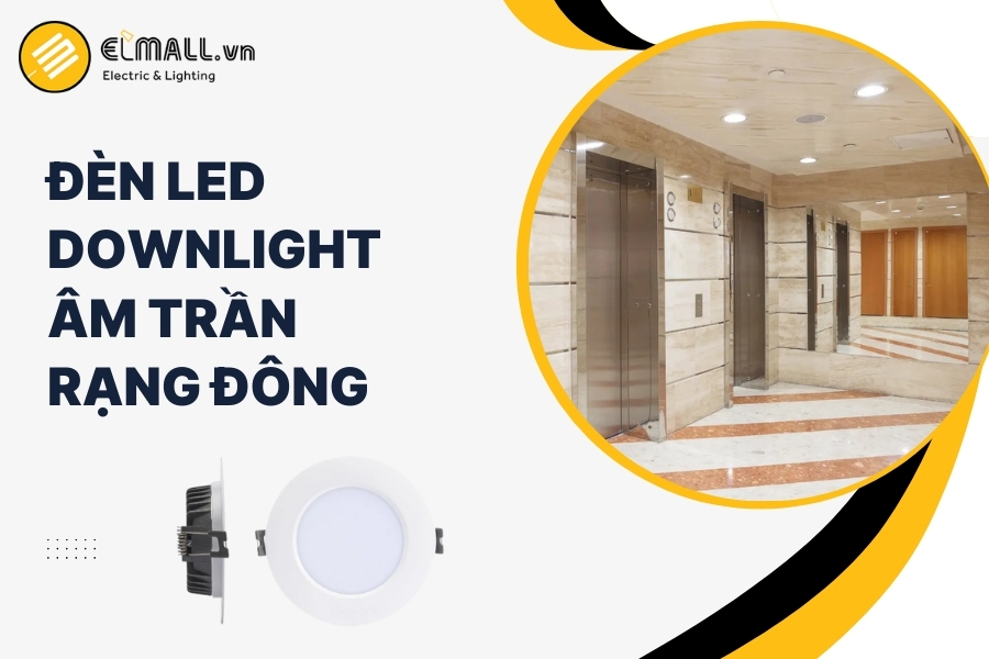 đèn led downlight âm trần rạng đông