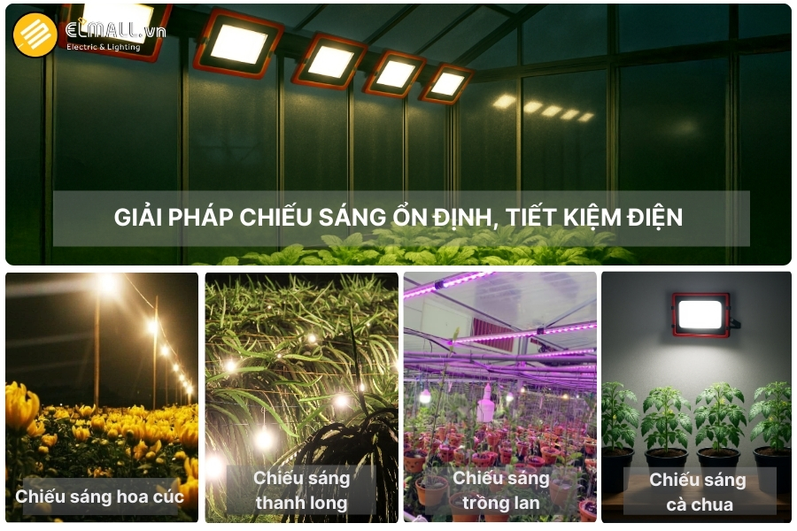 ứng dụng đèn led nông nghiệp