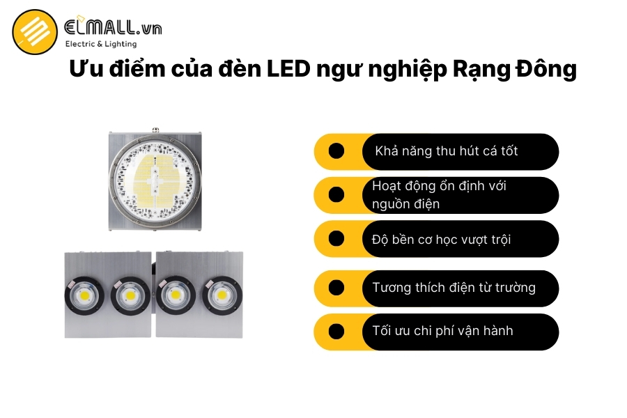 đèn led ngư nghiệp rạng đông