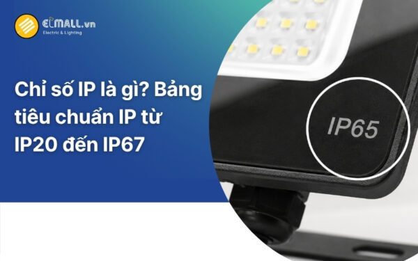 Chỉ số IP