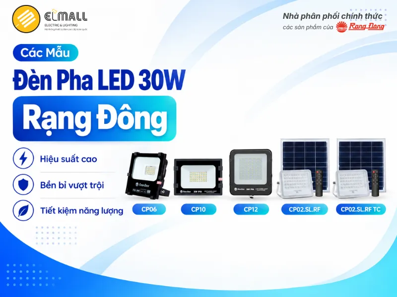 đèn pha rạng đông 30w